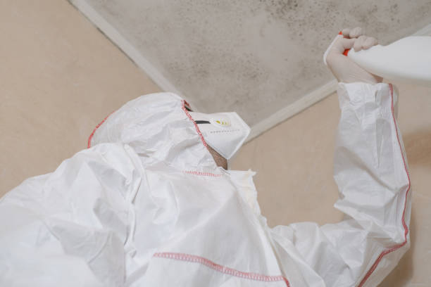 Archdale, NC Mold Remediation Company